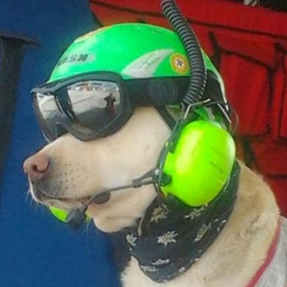 Meet your Posher, Liz - Picture 1 of 1